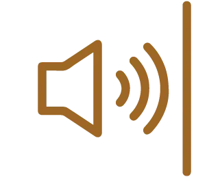 Acoustic Properties