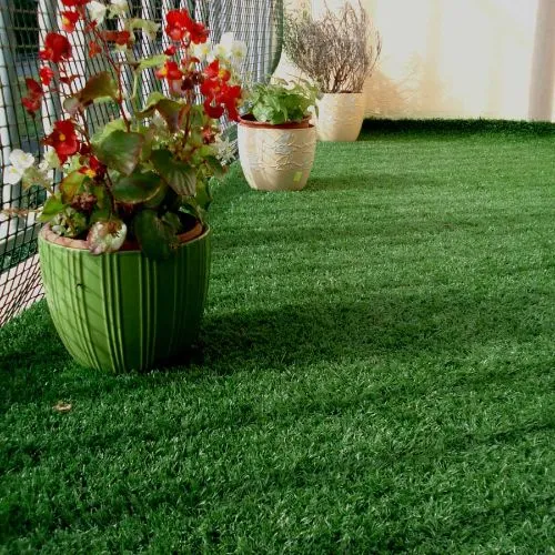Green Grass Carpets