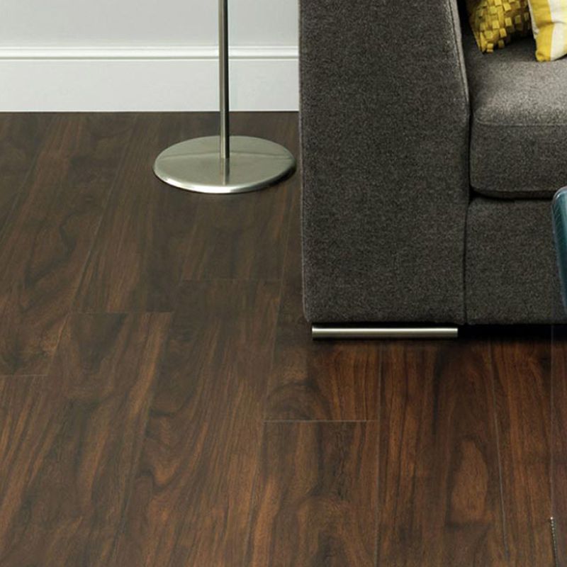 Black Walnut - Image 2