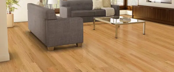 Wooden Flooring Installed in Living room