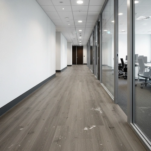 SPC Planks Commercial Areas